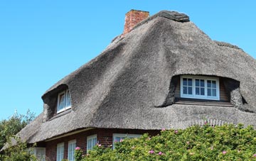 thatch roofing Buckton